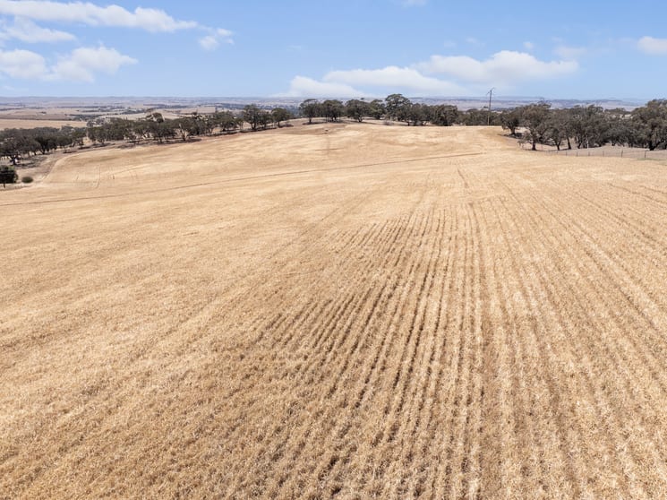 Click to view all images Lot 90 Tarlee Road Kapunda SA 5373 - Image 1