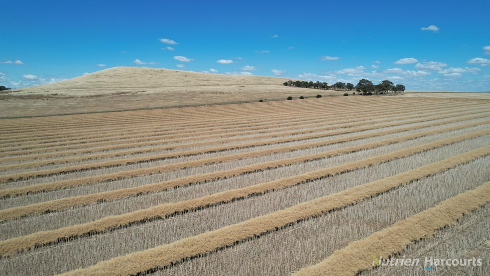 Click to view all images 1545 Cotswold Road Glengower VIC 3370 - Image 3