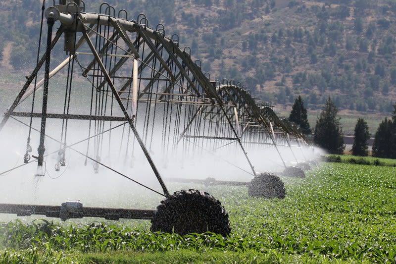 Click to view all images Irrigation Services business for sale in VIC - Image 2