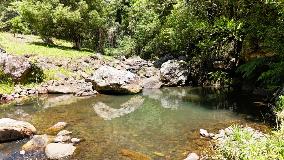 Click to view all images 3552 Nerang Murwillumbah Road Natural Bridge QLD 4211 - Image 2