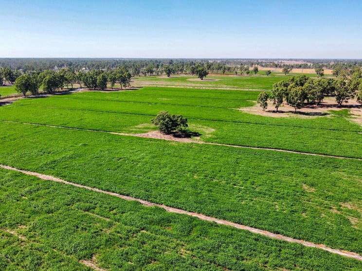 127 Orrs Road Gannawarra VIC 3568 - Image 1