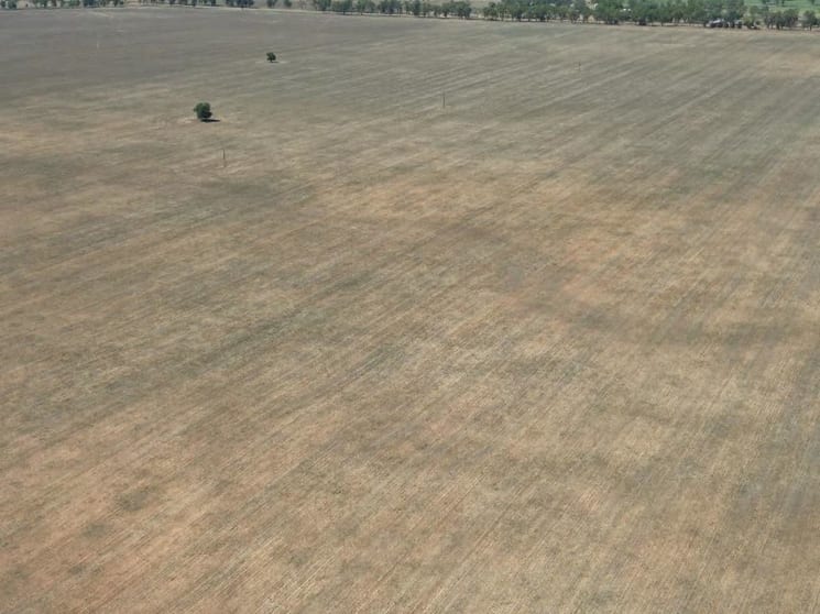 Gingham Road Moree NSW 2400 - Image 2