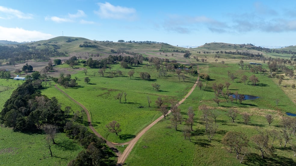 1763 Wongwibinda Road Armidale NSW 2350 - Image 3