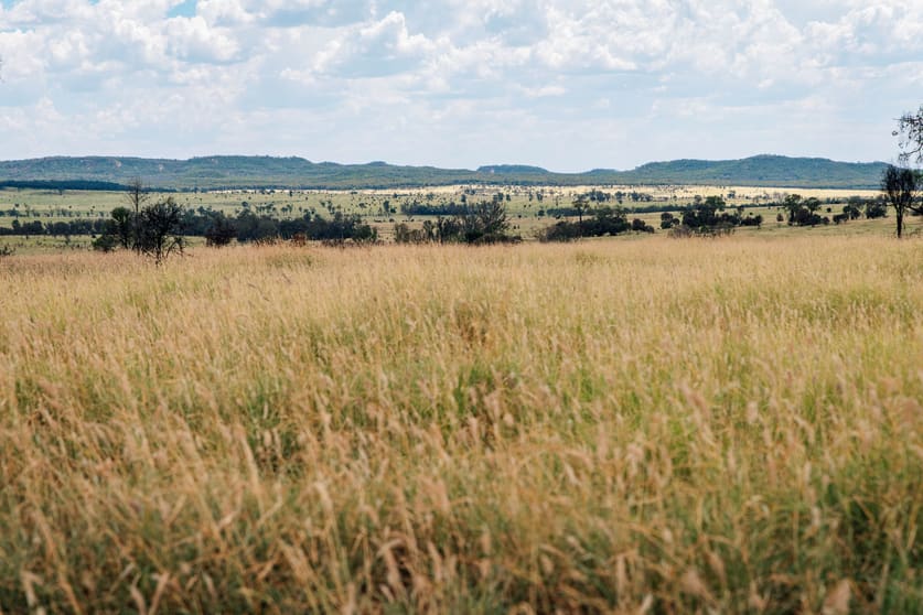 Click to view all images 10077 Hoganthulla Road Mungallala QLD 4467 - Image 2