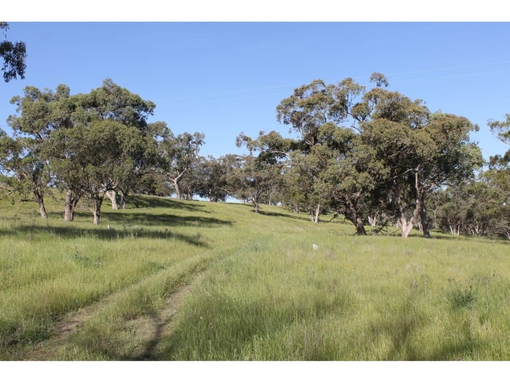 Click to view all images Golden Highway Cassilis NSW 2329 - Image 1