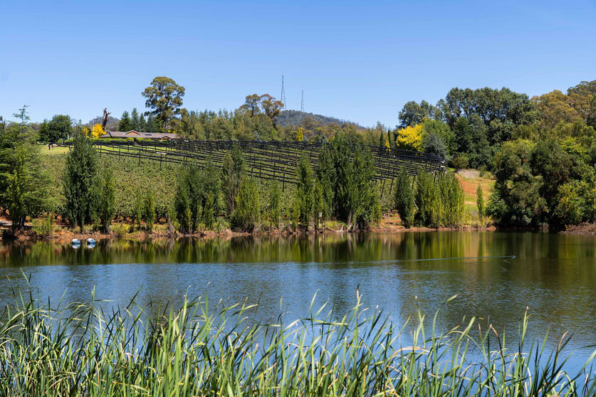 Click to view all images 293 Nancarrow Lane Orange NSW 2800 - Image 2