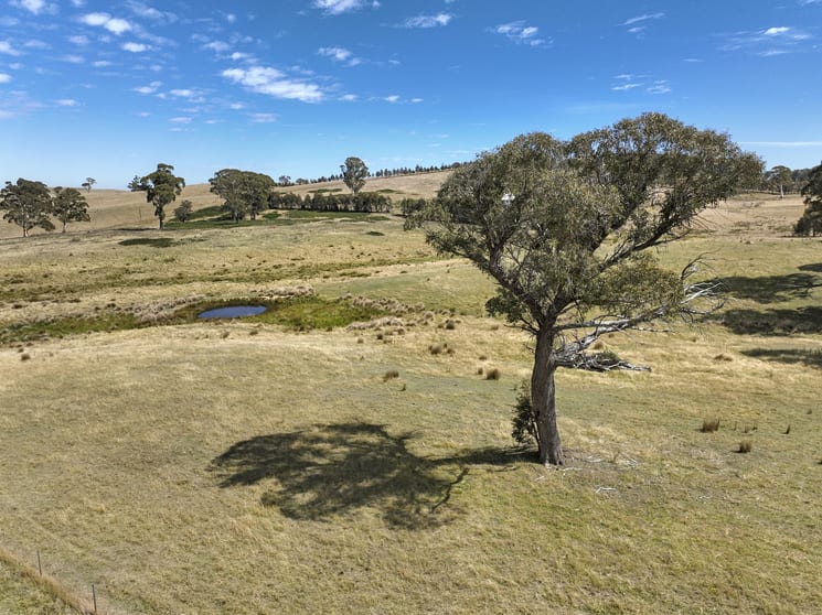 755 Beaconsfield Road Oberon NSW 2787 - Image 3