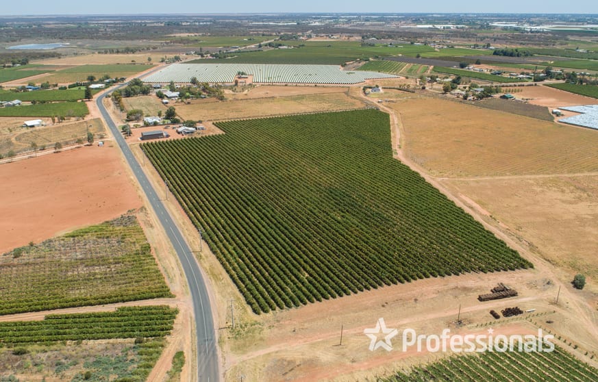 Click to view all images Lot 2 Twentieth Street Cardross VIC 3496 - Image 3