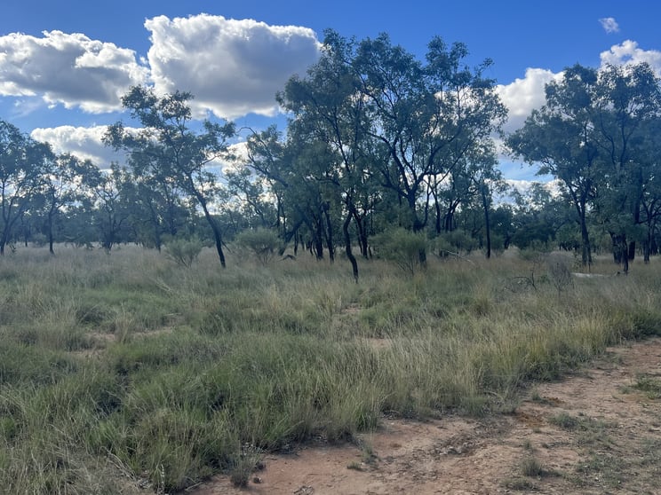 Click to view all images Flinders Highway Torrens Creek QLD 4816 - Image 3