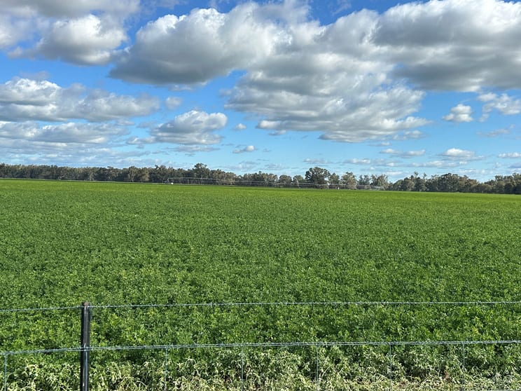 Click to view all images 929 Old Narrandera Road Wagga Wagga NSW 2650 - Image 2