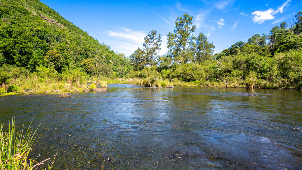 Click to view all images 668 Cundle Flat Road Cundle Flat NSW 2424 - Image 3