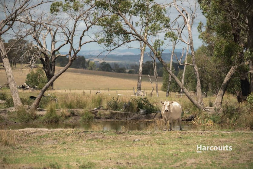 550 Garfield North Road Garfield North VIC 3814 - Image 1