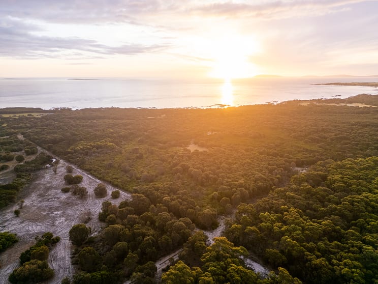 Lot 3, 1290 Palana Road Blue Rocks TAS 7255 - Image 1