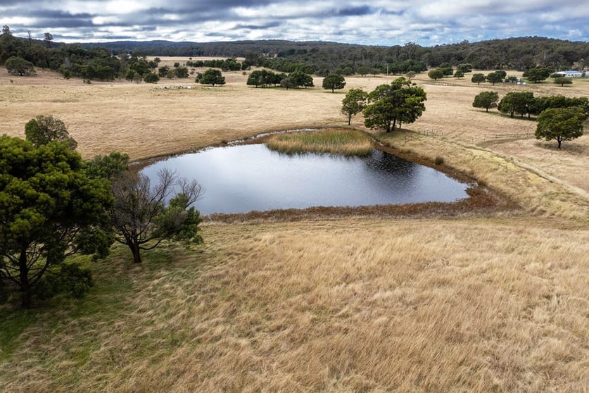 Click to view all images 508 Dewsburys Lane Lake Bathurst NSW 2580 - Image 3