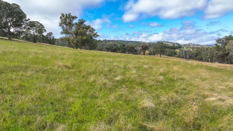 Click to view all images 830 Weabonga Road Weabonga NSW 2340 - Image 3