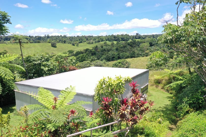 Click to view all images 780 MIDDLEBROOK ROAD Millaa Millaa QLD 4886 - Image 2