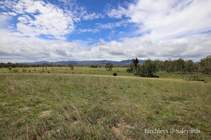 Mount Hector Tablelands QLD 4680 - Image 1