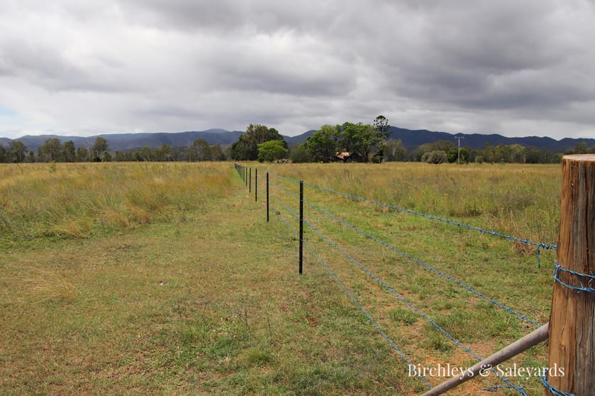 Mount Hector Tablelands QLD 4680 - Image 2