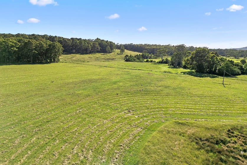 Click to view all images 544 Mandalong Rd Mandalong NSW 2264 - Image 3