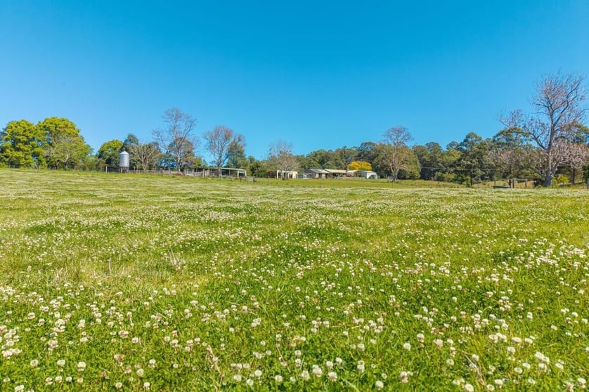 Click to view all images 102 Fishers Ridge Rd Mortons Creek NSW 2446 - Image 1