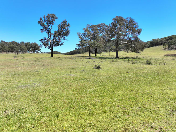 Click to view all images 1393 Middle Arm Road Goulburn NSW 2580 - Image 1