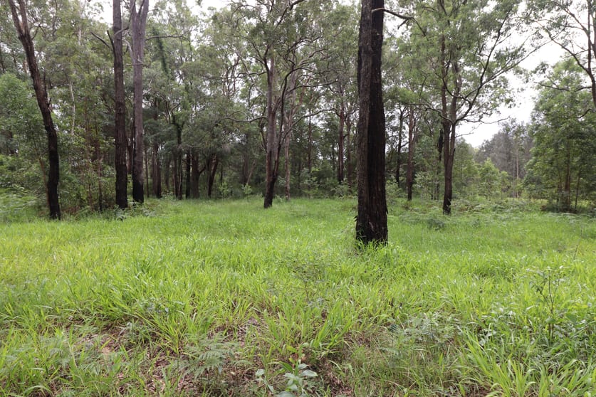 Click to view all images Lot 92 Tamban Road Collombatti NSW 2440 - Image 2