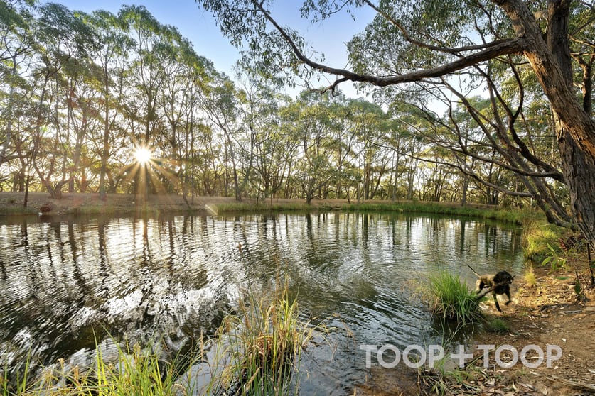 Click to view all images 1 Stentiford Road Forest Range SA 5139 - Image 3