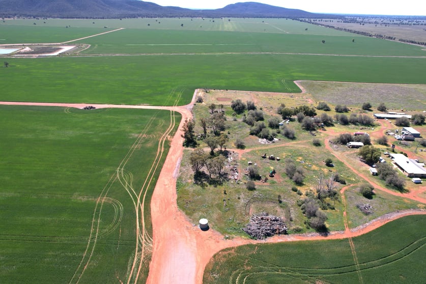 2190 Yarrabandai Road Trundle NSW 2875 - Image 3