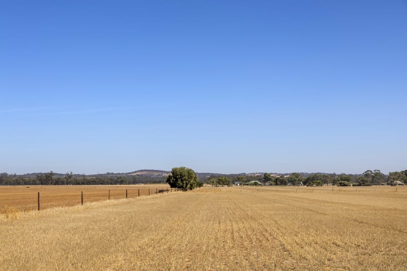 Click to view all images 217 Carrara Hill Road Ebenezer SA 5355 - Image 3
