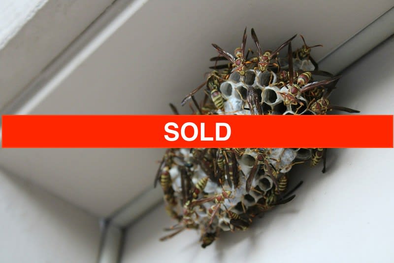 Pest Related  business for sale in Chermside - Image 1