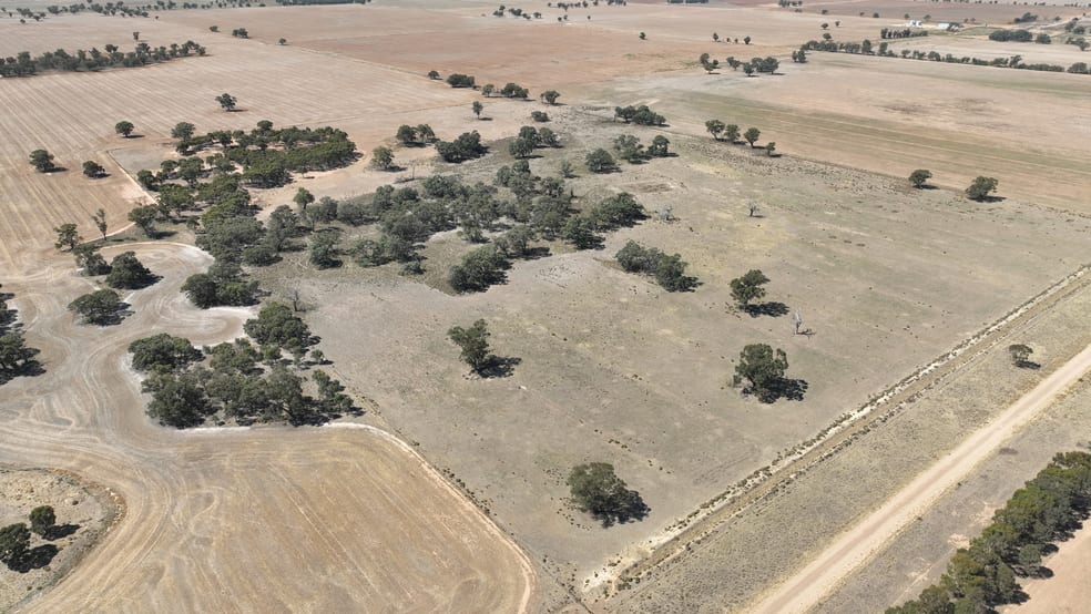 Click to view all images Lot 1, Womboota Rd, Womboota via Moama, NSW 2731 Womboota NSW 2731 - Image 3