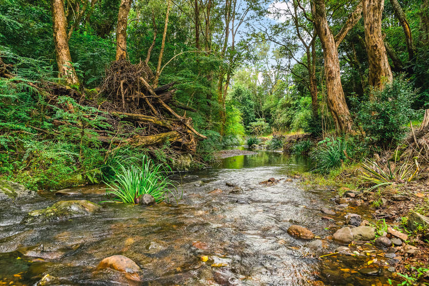 Click to view all images 239 Bulli Creek Road Byabarra NSW 2446 - Image 2