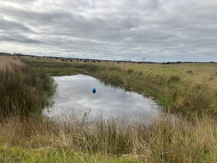 3470 North Road Egg Lagoon TAS 7256 - Image 2