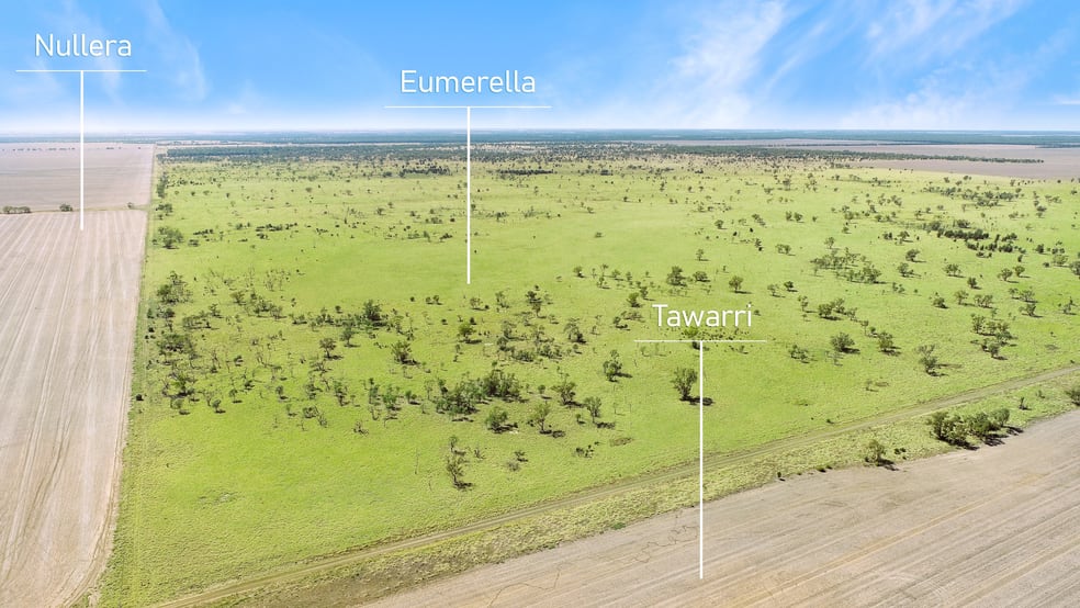 'Eumerella' Lot 87 Eumerella Road Thallon QLD 4497 - Image 1