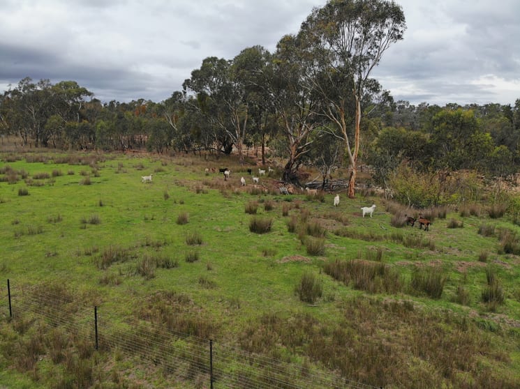 107 Long Gully Road Inverell NSW 2360 - Image 2