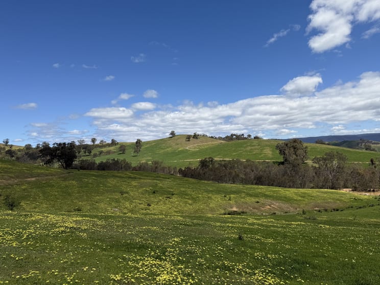 Click to view all images 85 Halls Flat Road Alexandra VIC 3714 - Image 2