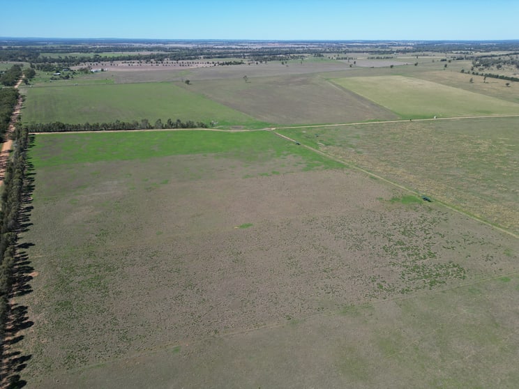 Click to view all images 678 Arthursleigh Gilgandra NSW 2827 - Image 3