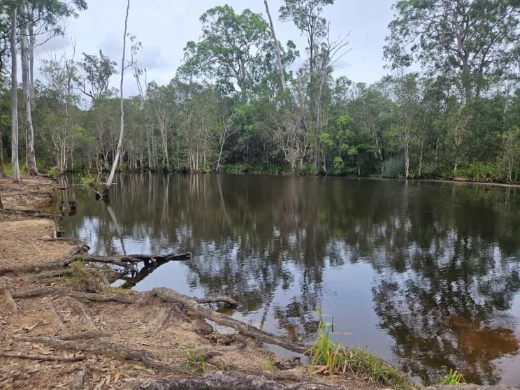 Click to view all images 0 Davis Road Bauple Forest QLD 4650 - Image 2