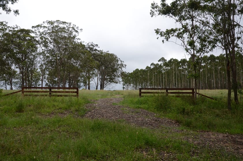7877AB Mount Lindesay Road Legume NSW 2476 - Image 2
