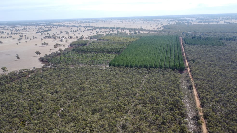 Click to view all images Lot 1 Jim Ryans Road Edenhope VIC 3318 - Image 3
