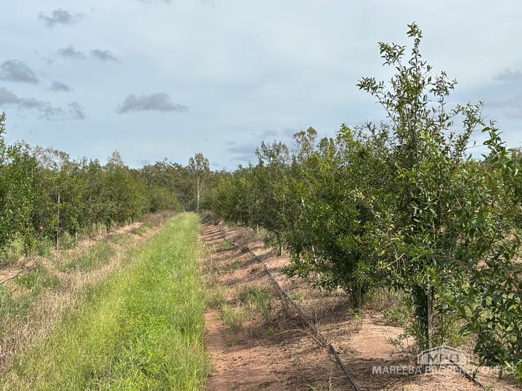 Click to view all images 446 Chewko Road Mareeba QLD 4880 - Image 2