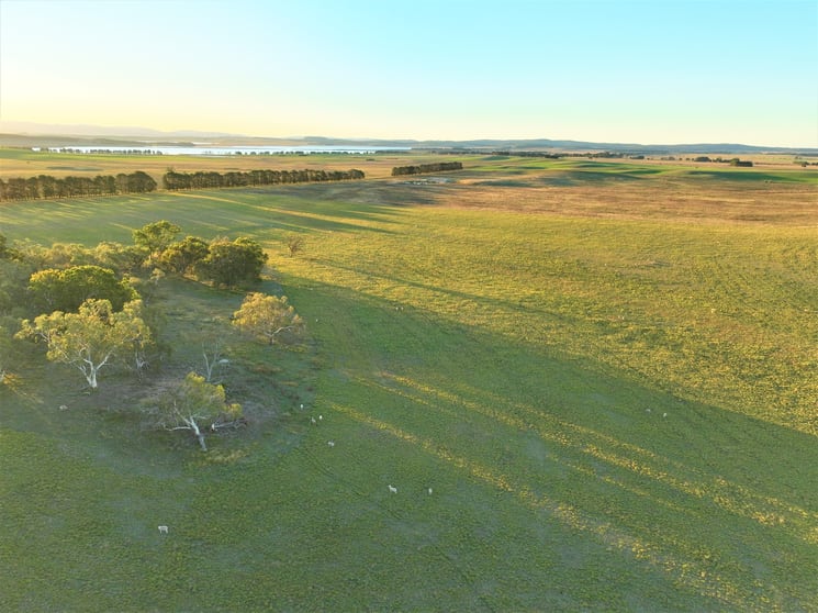 Click to view all images 55 Rotherwood Road Lake Bathurst NSW 2580 - Image 1