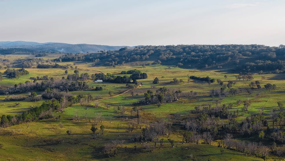 Click to view all images 3350 Peak View Road Jerangle NSW 2630 - Image 2