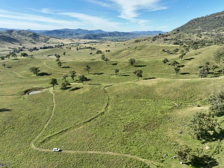 Click to view all images "Colly View" Glen Creek Road Scone NSW 2337 - Image 2