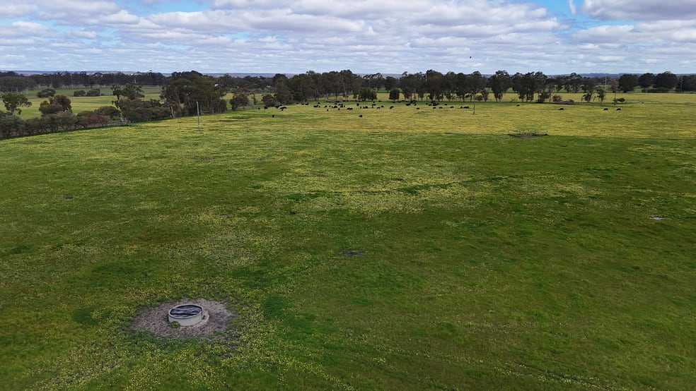 768 Queen Elizabeth Avenue Ambergate WA 6280 - Image 2