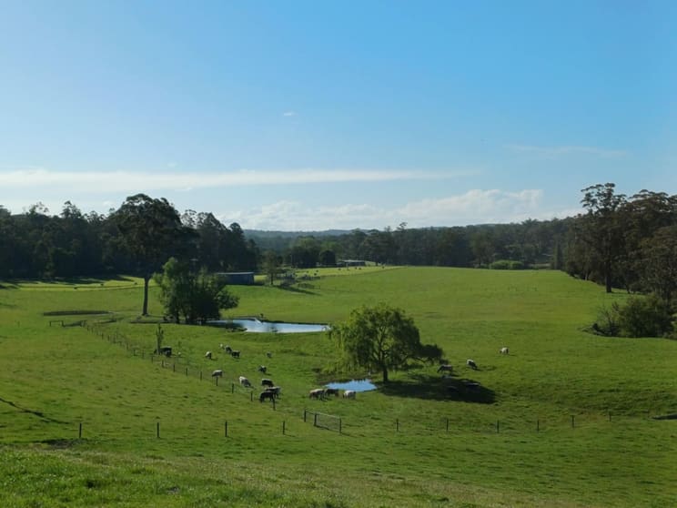 Click to view all images 64 Pows Road Orbost VIC 3888 - Image 3