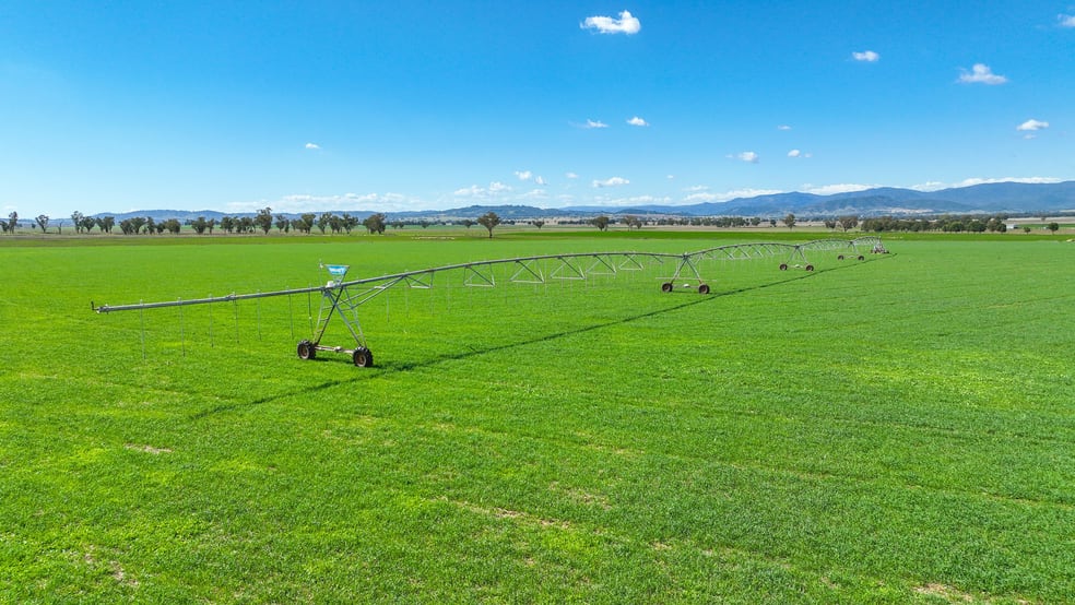 Click to view all images 322 Balcarry Lane Tamworth NSW 2340 - Image 1