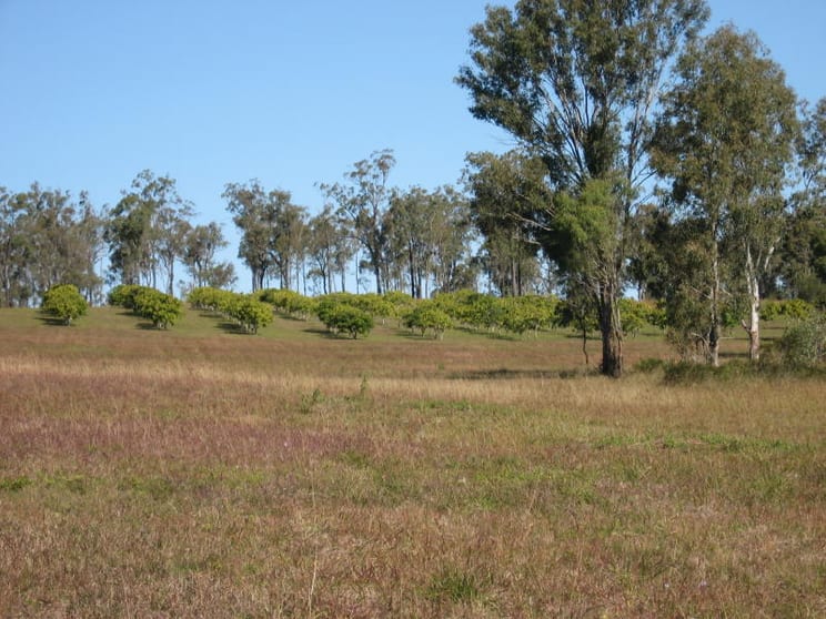 Click to view all images Gin Gin QLD 4671 - Image 2