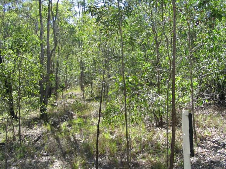 Click to view all images Gin Gin QLD 4671 - Image 1