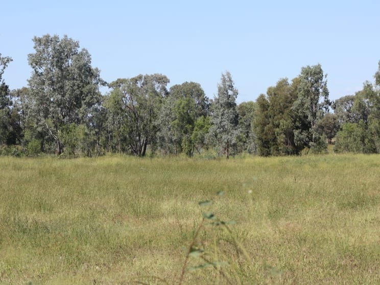 Click to view all images 444 Jambin Goovigen Road Goovigen QLD 4702 - Image 2